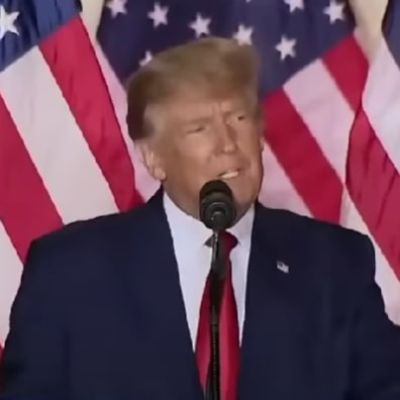 Donald Trump is addressing the crowd with a mic as the background is filled with the US Flag.